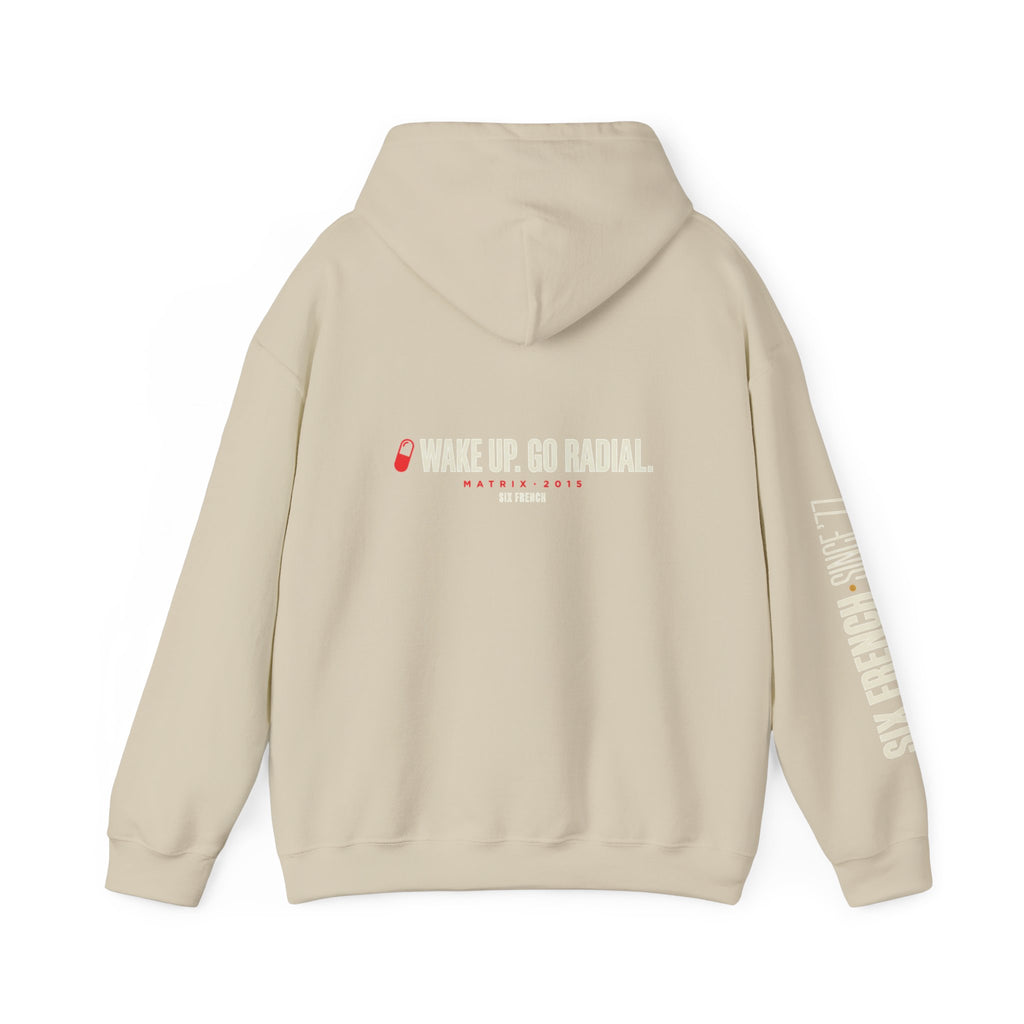 Hoodie — Red & Blue Pill Minimalist Graphic Pullover