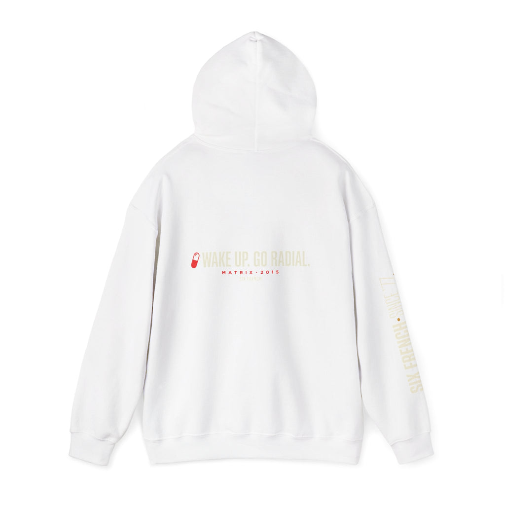 Hoodie — Red & Blue Pill Minimalist Graphic Pullover